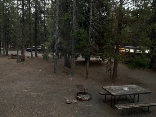 Grant Village Campground by null