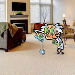 The Carpet Chemist