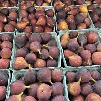 Swamp Rabbit Trail - Figs Figs Figs!!! - Hiking Near Me - Greenville, South Carolina Swamp Rabbit Trail - Figs Figs Figs!!! - Hiking Near Me - Greenville, South Carolina