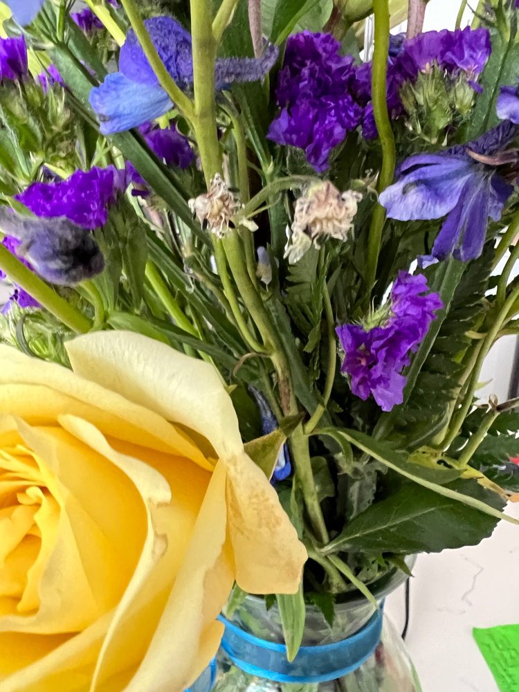 CONROY’S FLOWERS SOUTH COAST Updated July 2024 69 Photos & 85