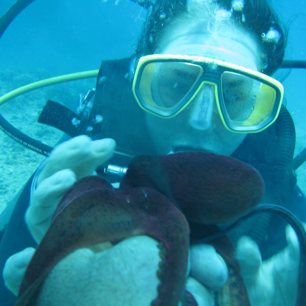 Manini Dive Company Hawaii - Scuba Diving Near Me - Honolulu, Hawaii