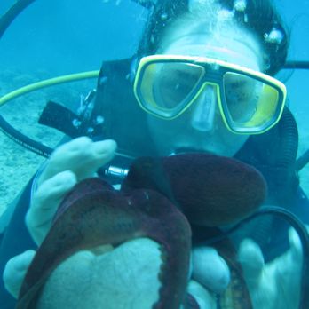 Manini Dive Company Hawaii - Scuba Diving Near Me - Honolulu, Hawaii
