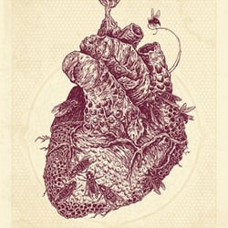 Pulse Chinese Medicine