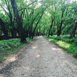 Pike Island - Hiking trail on Pike Island