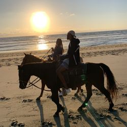 Horses by José