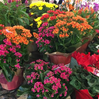 Smith's - Potted flowers - Grocery Near Me - Midvale, Utah Smith's - Potted flowers - Grocery Near Me - Midvale, Utah