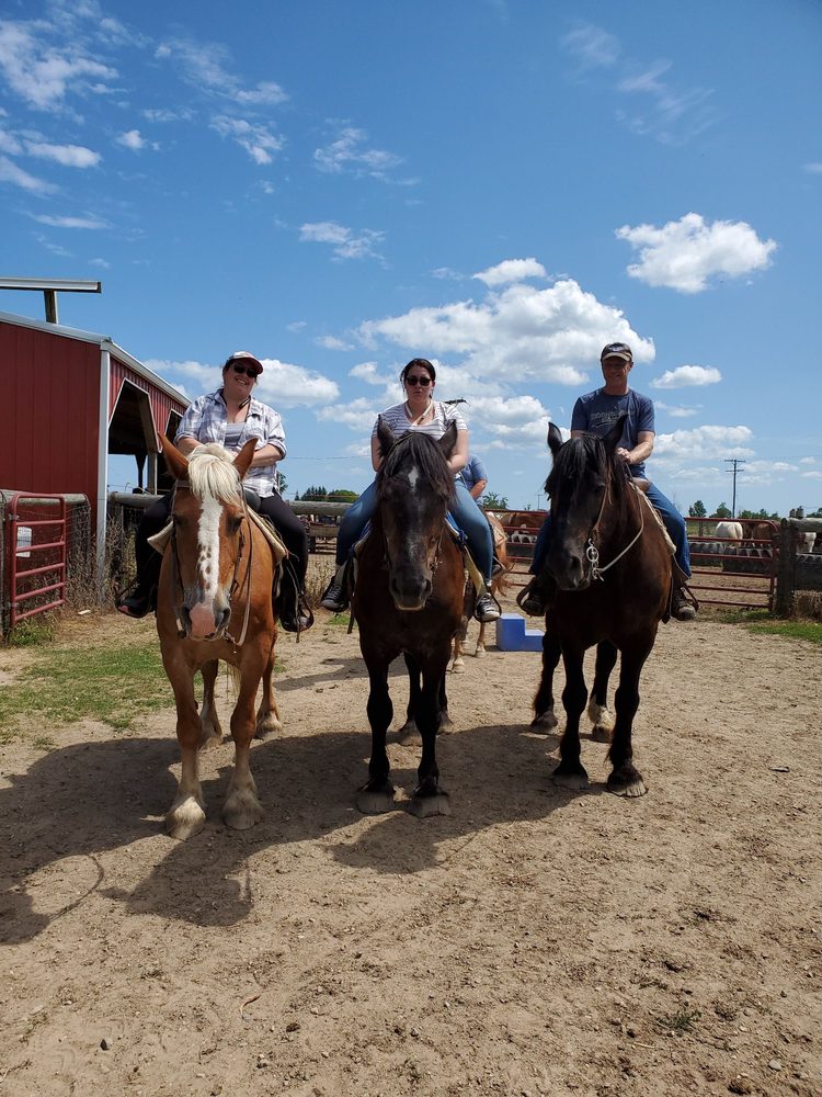 KNOBLOCK RIDING STABLE 22 Photos & 14 Reviews Horseback Riding