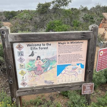 Los Osos Elfin Forest - Parks Near Me