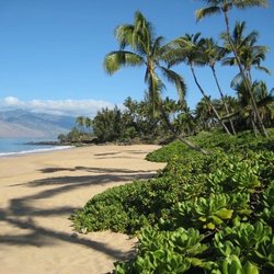 Dolphins Point Maui