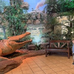 Australian Reptile Park - Entrance