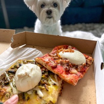 Unregular Pizza - Burrapizza. Recommend the mushroom one over  Amatriciana - Pizza Near Me - New York, New York