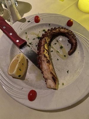 Salvatore D. Fine Italian Cuisine by null