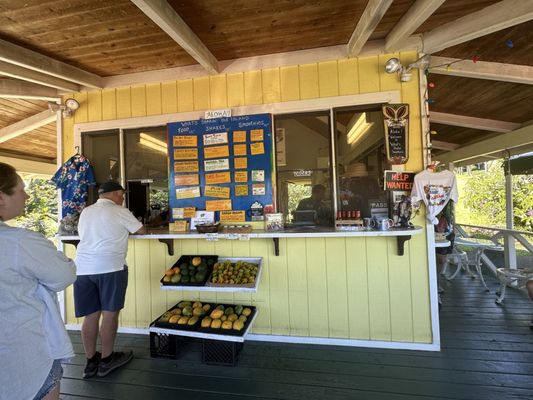 What's Shakin' by null