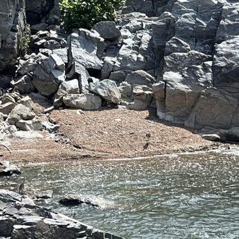 Great Falls Park - Potomac river - Parks Near Me - McLean, Virginia Great Falls Park - Potomac river - Parks Near Me - McLean, Virginia