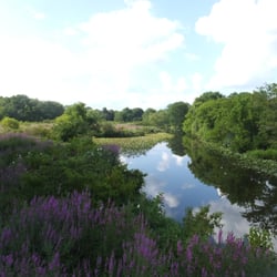 Silver Lake Nature Center