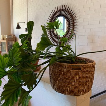 Wild Mother - Floral Designers Near Me - Oklahoma City, Oklahoma