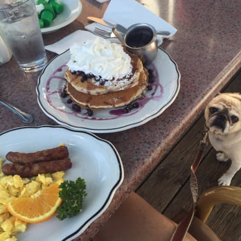 Main Street Cafe - Breakfast with pug. Blueberry pancakes with side of scrambled eggs and sausage. Very welcome and happy. - Breakfast & Brunch Near Me - Fallbrook, California Main Street Cafe - Breakfast with pug. Blueberry pancakes with side of scrambled eggs and sausage. Very welcome and happy. - Breakfast & Brunch Near Me - Fallbrook, California