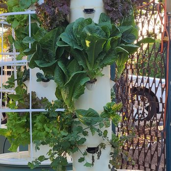 Supplycrew - Tower Garden - Hydroponics Near Me - Mesa, Arizona