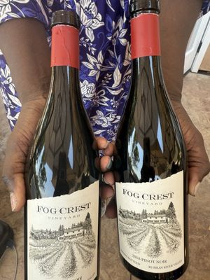 Fog Crest Vineyard by null