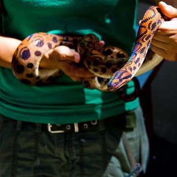 Wildlife Learning Center - Zoos Near Me - Sylmar, California Wildlife Learning Center - Zoos Near Me - Sylmar, California