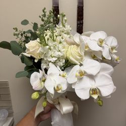 Melissa Orchid