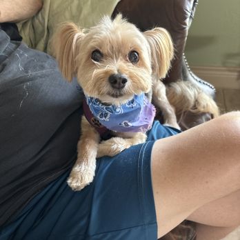 Bark Avenue - Great service and Duke came home happy pup!!! - Pet Groomers Near Me - Cedar Park, Texas