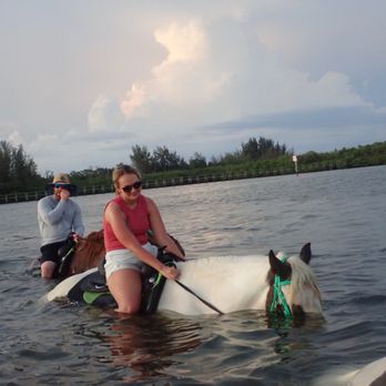 CPonies - Minnow loved sticking her face under water - Horseback Riding Near Me - Bradenton, Florida
