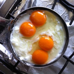 Quesería y Botillería Ralún - Huevos doble yema, Ralún.