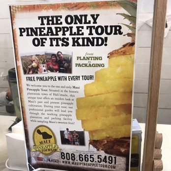 Maui Pineapple Store - Accessories Near Me - Lahaina, Hawaii