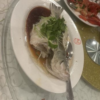 Well Season - Steamed fish - Dim Sum Near Me - Davis, California Well Season - Steamed fish - Dim Sum Near Me - Davis, California