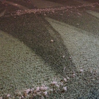 Big Bear Carpet Cleaning - Dog hair don't care! our CRB machine will pull the deepest pet hair out of your carpet! - Carpet Cleaning Near Me - Big Bear, California Big Bear Carpet Cleaning - Dog hair don't care! our CRB machine will pull the deepest pet hair out of your carpet! - Carpet Cleaning Near Me - Big Bear, California