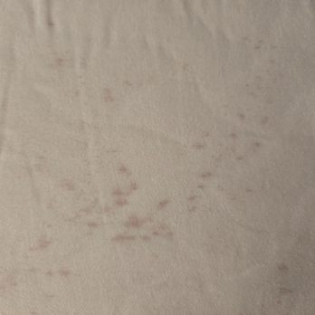 Time For A Hair Cut - My pillowcase after a week of hair washing and waking up to clean previously-stained pillowcases since my visit with Alma. - Hair Salons Near Me - Ojai, California Time For A Hair Cut - My pillowcase after a week of hair washing and waking up to clean previously-stained pillowcases since my visit with Alma. - Hair Salons Near Me - Ojai, California