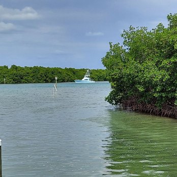 Island Grill - View from dock - Seafood Near Me - Islamorada, Florida
