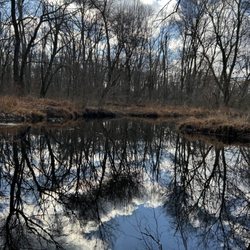 Mercer County Park - More early Winter scenery along the park's trails.