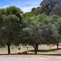 Carquinez Regional Shoreline - Nedjedly Staging Area - trailhead beyond fence