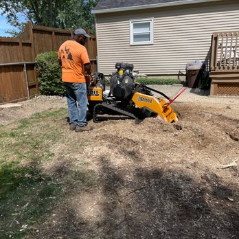 Menb Stump Grinding - a man using a stump grinder - Tree Services Near Me - Grand Rapids, Michigan Menb Stump Grinding - a man using a stump grinder - Tree Services Near Me - Grand Rapids, Michigan
