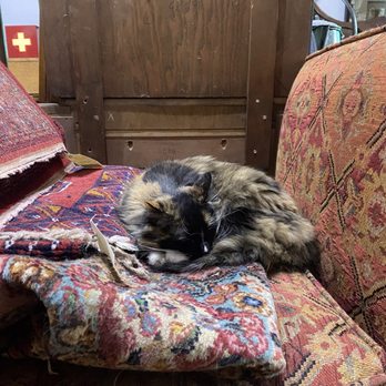Really Good Stuff - Cat!! - Antiques Near Me - Portland, Oregon Really Good Stuff - Cat!! - Antiques Near Me - Portland, Oregon