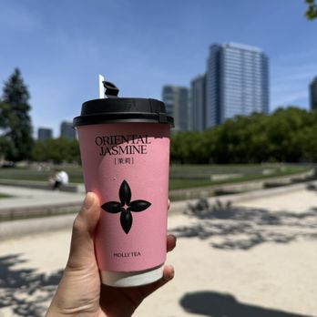 Molly Tea - Premium Jasmine milk tea - Bubble Tea Near Me - Bellevue, Washington