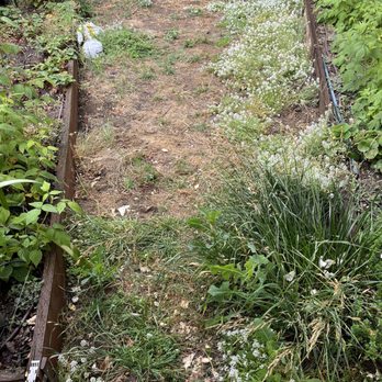 Re-Leaf Landscape - Before: vegetable garden - Landscaping Near Me - Winchester, California
