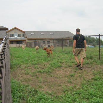Doghouse - Pet Sitting Near Me - Whitmore Lake, Michigan
