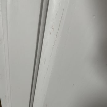 Opus Painters - Painters Near Me