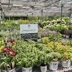 Smithland Pet & Garden Center - formerly Agway of Manchester - Our greenhouse is stocked year-round, ready to satisfy any of your greenery needs