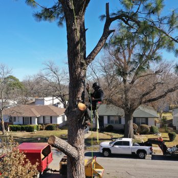 Clean Edge Tree Service & Removal - Tree Services Near Me - Denton, Texas Clean Edge Tree Service & Removal - Tree Services Near Me - Denton, Texas