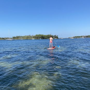 Manatee Paddle - In kings bay - Paddleboarding Near Me - Crystal River, Florida