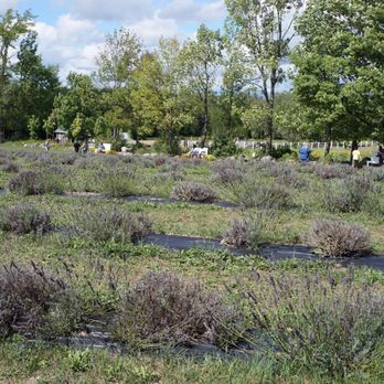 Terre Bleu - Farms Near Me - Elora, Ontario
