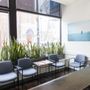 Chicago Spine and Sports