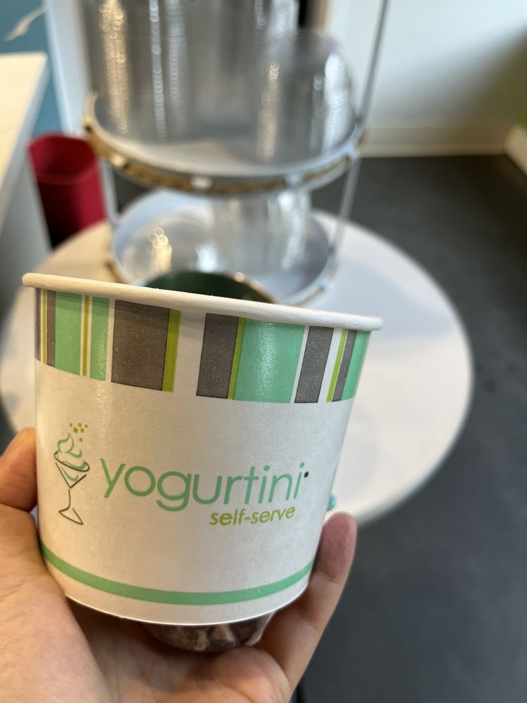 YOGURTINI Updated August 2024 18 Photos & 12 Reviews 207 W Maple