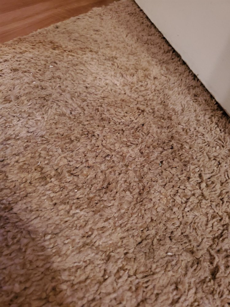 PATRICIAN MANAGEMENT Updated September 2024 18 Photos & 11 Reviews