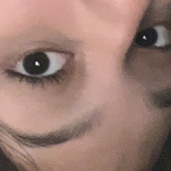 Precise Brows - Eyelash Service Near Me - New York, New York