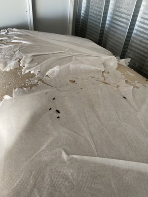 Public Storage by null